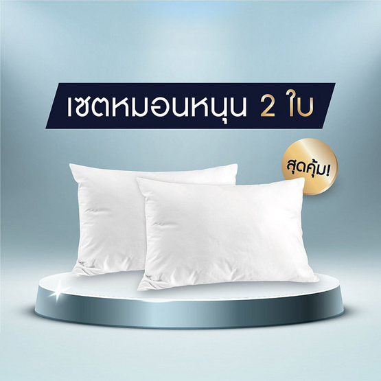 SOLOMON หมอนหนุน 2 ใบ เพื่อสุขภาพ ป้องกันไรฝุ่น SOLOMON หมอนหนุน 2 ใบ เพื่อสุขภาพ ป้องกันไรฝุ่น