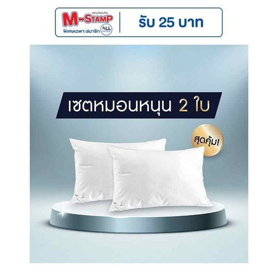 SOLOMON หมอนหนุน 2 ใบ เพื่อสุขภาพ ป้องกันไรฝุ่น SOLOMON หมอนหนุน 2 ใบ เพื่อสุขภาพ ป้องกันไรฝุ่น