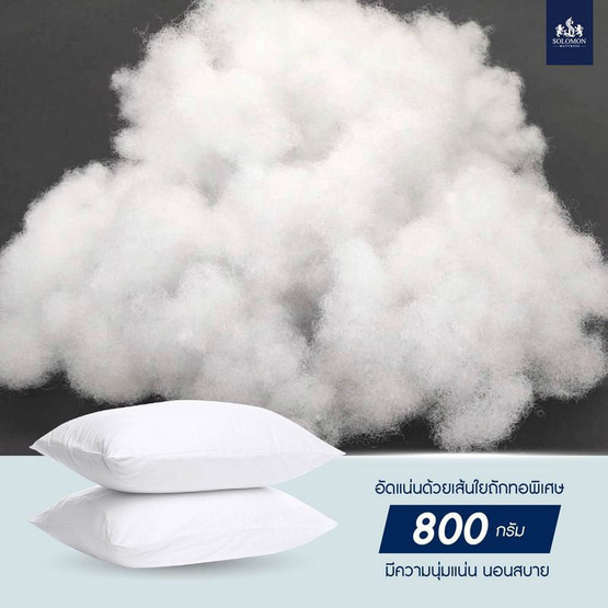 SOLOMON Pillow ชุดหมอนหนุน 2 ใบ + หมอนข้าง 1 ใบ SOLOMON Pillow ชุดหมอนหนุน 2 ใบ + หมอนข้าง 1 ใบ