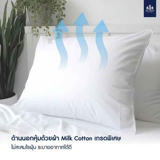 SOLOMON Pillow ชุดหมอนหนุน 2 ใบ + หมอนข้าง 1 ใบ SOLOMON Pillow ชุดหมอนหนุน 2 ใบ + หมอนข้าง 1 ใบ