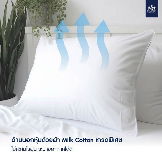 SOLOMON หมอนหนุน 2 ใบ หมอนข้าง 2 ใบ สีขาว เซ็ตคู่ SOLOMON หมอนหนุน 2 ใบ หมอนข้าง 2 ใบ สีขาว เซ็ตคู่