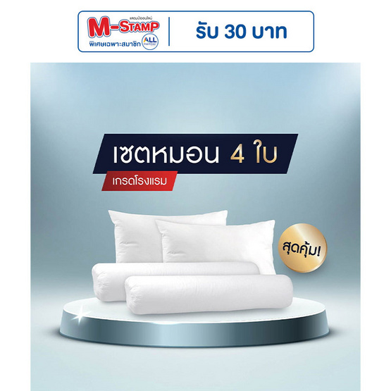 SOLOMON หมอนหนุน 2 ใบ หมอนข้าง 2 ใบ สีขาว เซ็ตคู่ SOLOMON หมอนหนุน 2 ใบ หมอนข้าง 2 ใบ สีขาว เซ็ตคู่