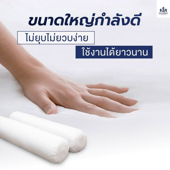 SOLOMON ชุดหมอนหนุน 1 ใบ + หมอนข้าง 1 ใบ SOLOMON ชุดหมอนหนุน 1 ใบ + หมอนข้าง 1 ใบ