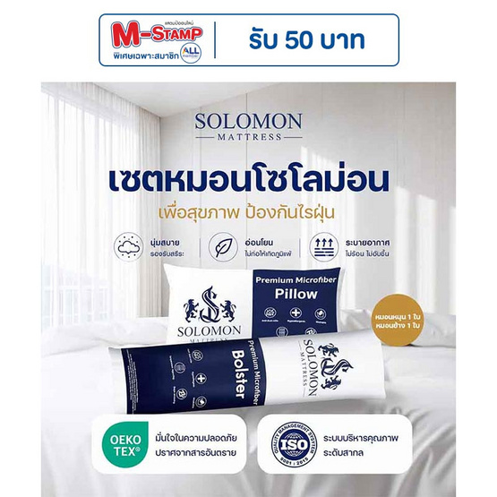 SOLOMON ชุดหมอนหนุน 1 ใบ + หมอนข้าง 1 ใบ