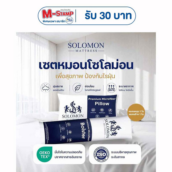 SOLOMON ชุดหมอนหนุน 1 ใบ + หมอนข้าง 1 ใบ