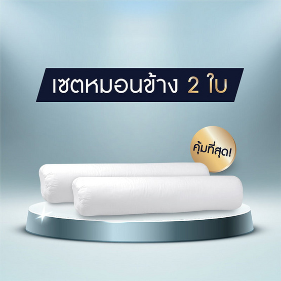 SOLOMON หมอนข้าง 2 ใบ เพื่อสุขภาพ ป้องกันไรฝุ่น SOLOMON หมอนข้าง 2 ใบ เพื่อสุขภาพ ป้องกันไรฝุ่น