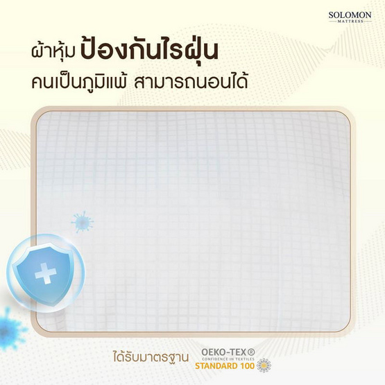 SOLOMON หมอนหนุนขอบทองเกรดโรงแรม Layla Pillow SOLOMON หมอนหนุนขอบทองเกรดโรงแรม Layla Pillow