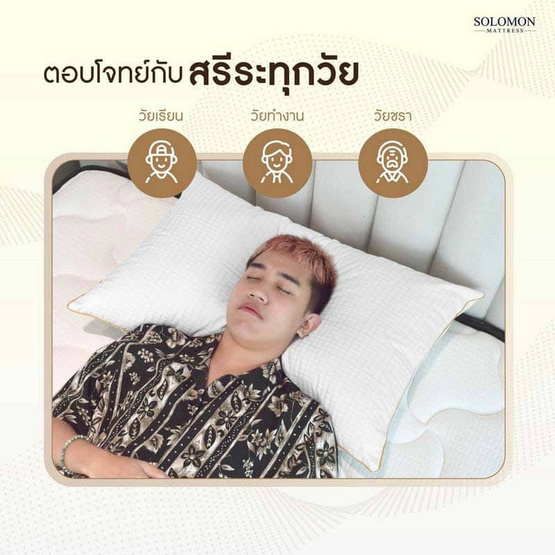 SOLOMON หมอนหนุนขอบทองเกรดโรงแรม Layla Pillow SOLOMON หมอนหนุนขอบทองเกรดโรงแรม Layla Pillow