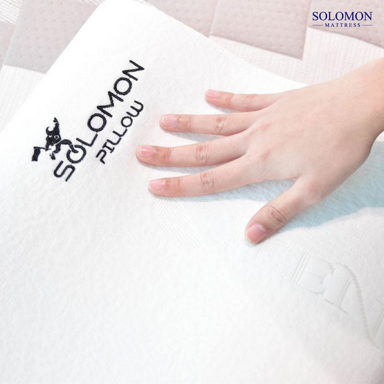 SOLOMON หมอนเมมโมรี่โฟม หมอนสุขภาพ รุ่น Planet Pillow SOLOMON หมอนเมมโมรี่โฟม หมอนสุขภาพ รุ่น Planet Pillow