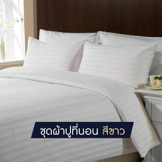 SOLOMON ชุดผ้าปูที่นอน สีขาว SOLOMON ชุดผ้าปูที่นอน สีขาว