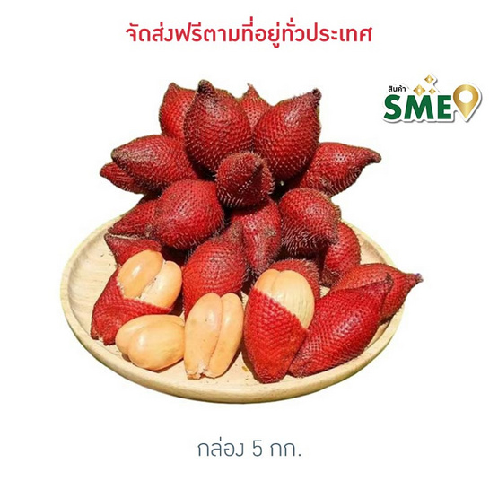 สละพันธุ์สุมาลี สวนทวีทรัพย์ จ.ชุมพร