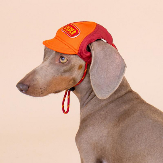 Clawset หมวกสัตว์เลี้ยง Leader แดง