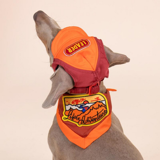 Clawset หมวกสัตว์เลี้ยง Leader แดง