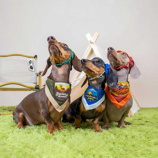 Clawset หมวกสัตว์เลี้ยง Leader แดง