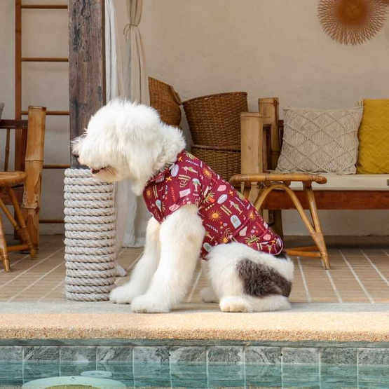 Clawset เสื้อเชิ้ตสัตว์เลี้ยง Maroon แดง