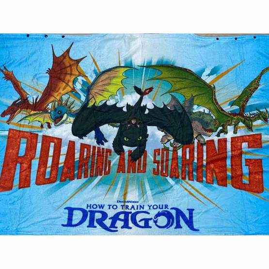 ผ้าห่มเขี้ยวกุด DRAGON สีฟ้า ผ้าห่มเขี้ยวกุด DRAGON สีฟ้า