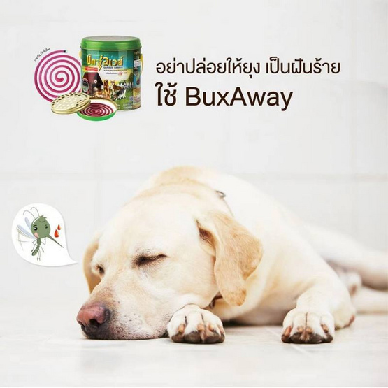 บักซ์อเวย์ ยาจุดกันยุงสำหรับสัตว์เลี้ยง 56 ขด พร้อมถาดนิรภัย