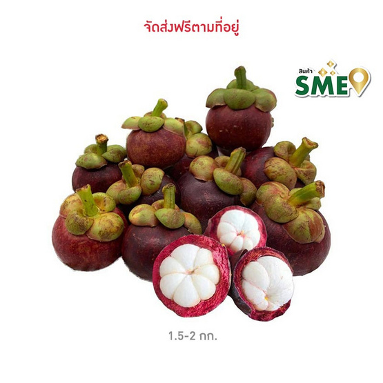 มังคุดคละไซส์ สวนน้องคิม จ.จันทบุรี มังคุดคละไซส์ สวนน้องคิม จ.จันทบุรี