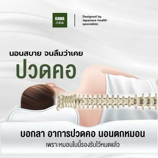Kawa หมอนยางพาราแท้ รุ่น Curve Zen Kawa หมอนยางพาราแท้ รุ่น Curve Zen