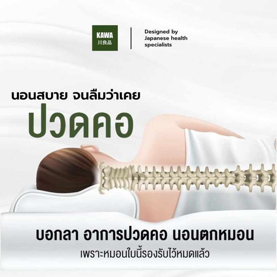 Kawa หมอนยางพาราแท้ รุ่น Double Slopes Kawa หมอนยางพาราแท้ รุ่น Double Slopes
