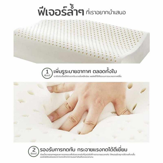 Kawa หมอนยางพาราแท้ รุ่น Double Slopes Kawa หมอนยางพาราแท้ รุ่น Double Slopes