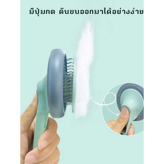TINTIN SHOP หวีแปรงขนสัตว์ 1 แถม 1