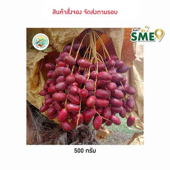 อินทผลัมโคแนนซี่ ร้อยเอ็ดแลนด์ จ.ร้อยเอ็ด อินทผลัมโคแนนซี่ ร้อยเอ็ดแลนด์ จ.ร้อยเอ็ด