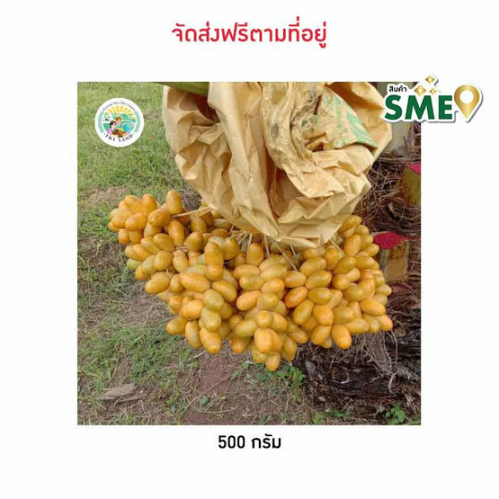 อินทผลัมฟูเดลี่ ร้อยเอ็ดแลนด์ จ.ร้อยเอ็ด อินทผลัมฟูเดลี่ ร้อยเอ็ดแลนด์ จ.ร้อยเอ็ด