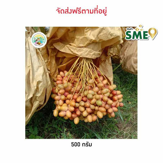อินทผลัมเบรม ร้อยเอ็ดแลนด์ จ.ร้อยเอ็ด อินทผลัมเบรม ร้อยเอ็ดแลนด์ จ.ร้อยเอ็ด