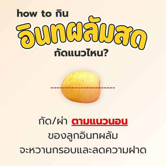 อินทผลัมบาฮีแดง ร้อยเอ็ดแลนด์ จ.ร้อยเอ็ด อินทผลัมบาฮีแดง ร้อยเอ็ดแลนด์ จ.ร้อยเอ็ด