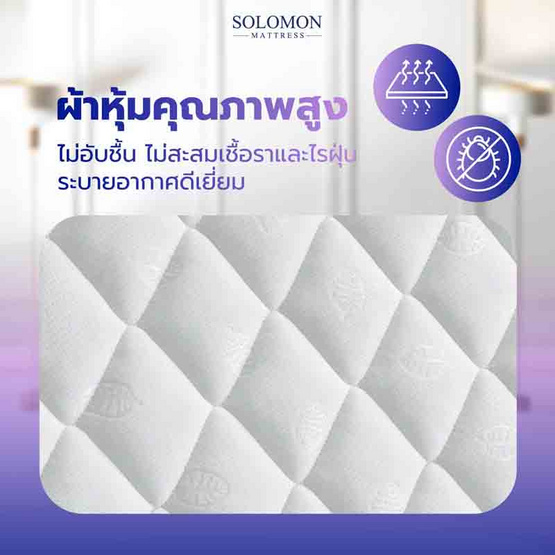SOLOMON ที่นอนสปริงเสริมยางพารา รุ่น Mother ความหนา 10 นิ้ว SOLOMON ที่นอนสปริงเสริมยางพารา รุ่น Mother ความหนา 10 นิ้ว