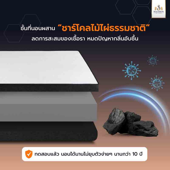 SOLOMON ที่นอนอัดสุญญากาศ รุ่น Hunter หนา 4 นิ้ว SOLOMON ที่นอนอัดสุญญากาศ รุ่น Hunter หนา 4 นิ้ว