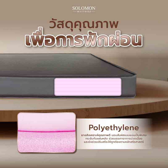 SOLOMON ที่นอนยางสังเคราะห์ หนา2นิ้ว รุ่น ERGO สัมผัสเบาะนวด SOLOMON ที่นอนยางสังเคราะห์ หนา2นิ้ว รุ่น ERGO สัมผัสเบาะนวด