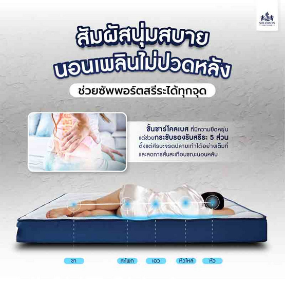 SOLOMON ที่นอน ลดกลิ่นอับ ความหนา 7 นิ้ว รุ่นDeep Sleep
