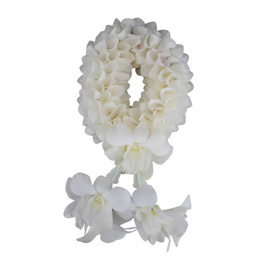 BangkokFlower พวงมาลัยกล้วยไม้สดสีขาวรักแม่ แบบที่ 1 BangkokFlower พวงมาลัยกล้วยไม้สดสีขาวรักแม่ แบบที่ 1