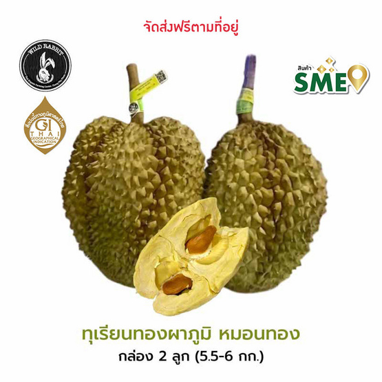 ทุเรียนทองผาภูมิหมอนทอง 2 ลูก 5.5-6 กก wild rabbit จ.กาญจนบุรี