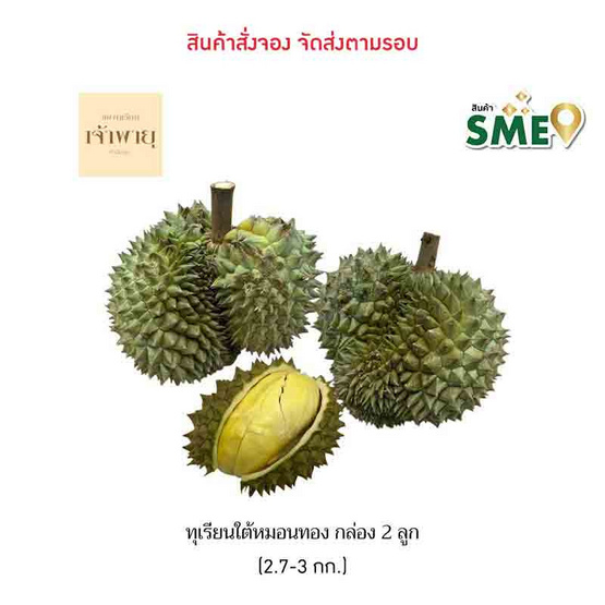 ทุเรียนใต้หมอนทอง 2 ลูก (2.7-3 กก.) สวนเจ้าพายุ ทุเรียนใต้หมอนทอง 2 ลูก (2.7-3 กก.) สวนเจ้าพายุ
