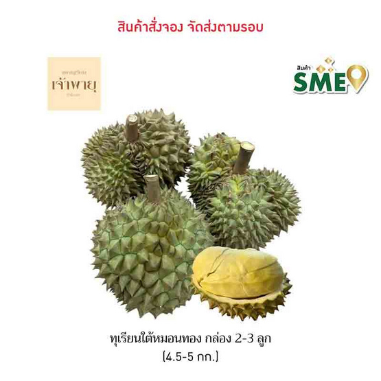 ทุเรียนใต้หมอนทอง 2-3 ลูก (4.5-5 กก.) สวนเจ้าพายุ ทุเรียนใต้หมอนทอง 2-3 ลูก (4.5-5 กก.) สวนเจ้าพายุ