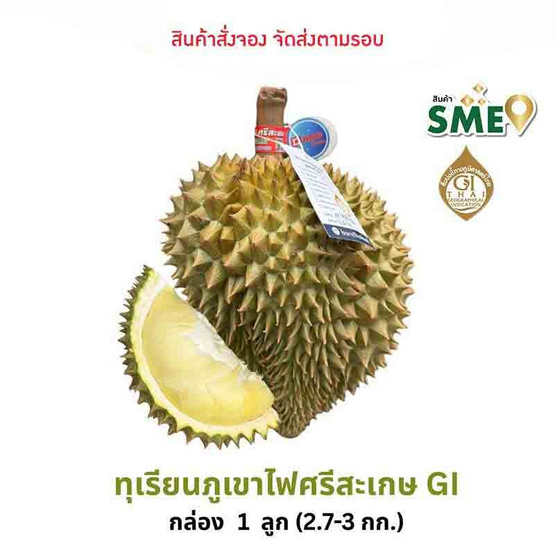 ทุเรียนภูเขาไฟศรีสะเกษหมอนทอง ดีจริง ศรีสะเกษ ทุเรียนภูเขาไฟศรีสะเกษหมอนทอง ดีจริง ศรีสะเกษ