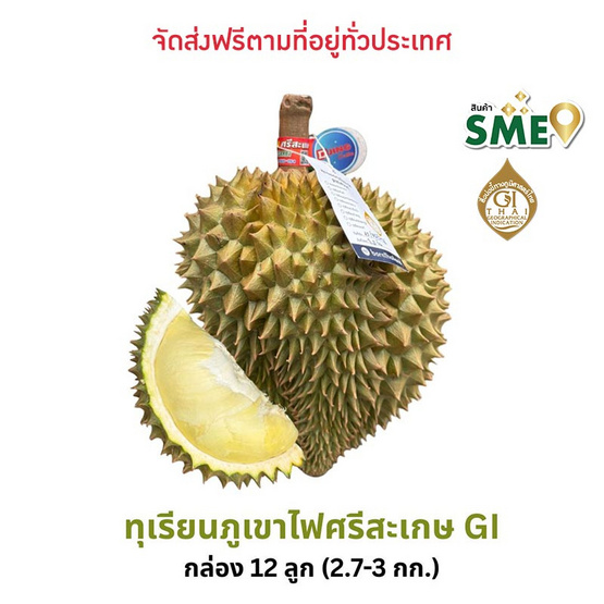 ทุเรียนภูเขาไฟศรีสะเกษหมอนทอง ดีจริง ศรีสะเกษ ทุเรียนภูเขาไฟศรีสะเกษหมอนทอง ดีจริง ศรีสะเกษ