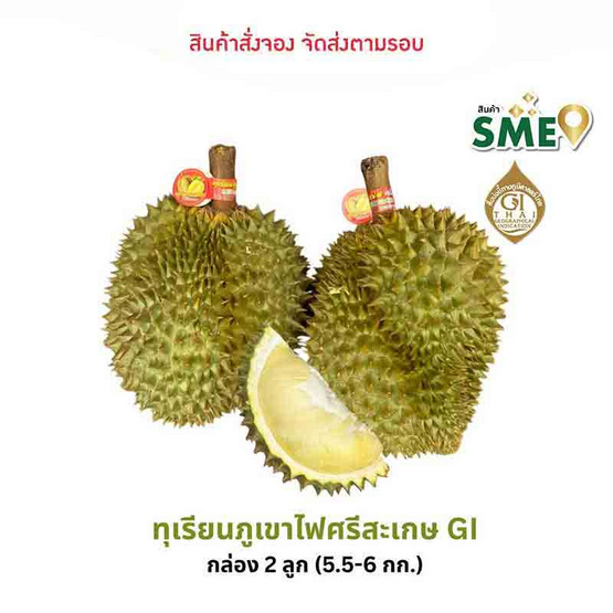 ทุเรียนภูเขาไฟศรีสะเกษหมอนทอง ดีจริง ศรีสะเกษ