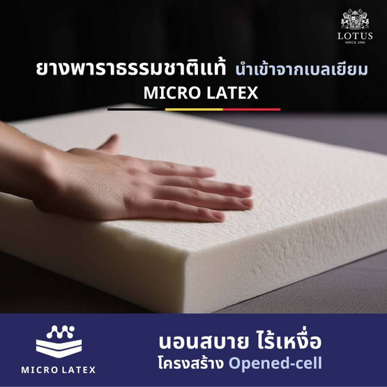 LOTUS ที่นอน รุ่น HUDSON II LOTUS ที่นอน รุ่น HUDSON II