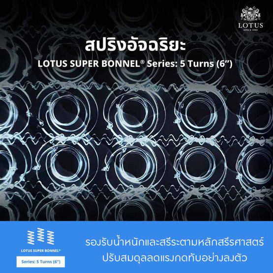 LOTUS ที่นอน รุ่น HUDSON II LOTUS ที่นอน รุ่น HUDSON II