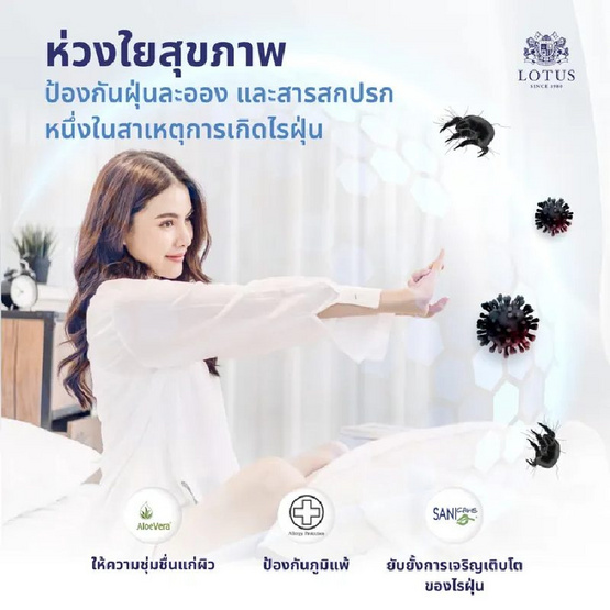 LOTUS ที่นอน รุ่น VIOLIN LOTUS ที่นอน รุ่น VIOLIN