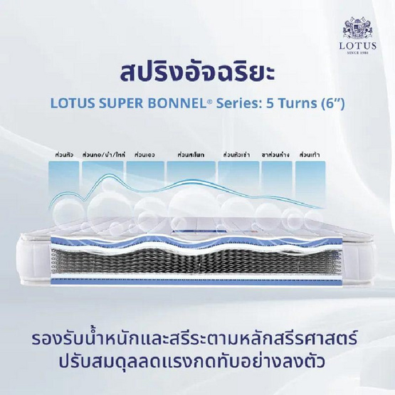 LOTUS ที่นอน รุ่น VIOLIN LOTUS ที่นอน รุ่น VIOLIN