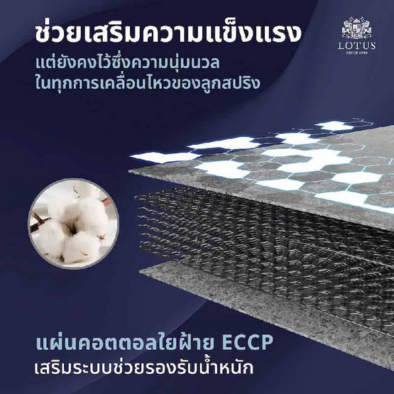 LOTUS ที่นอน รุ่น NORTHLIGHT I LOTUS ที่นอน รุ่น NORTHLIGHT I