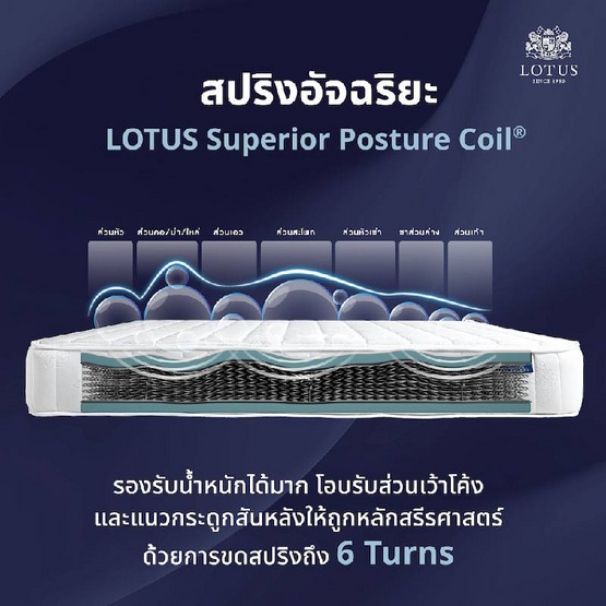 LOTUS ที่นอน รุ่น NORTHLIGHT I LOTUS ที่นอน รุ่น NORTHLIGHT I