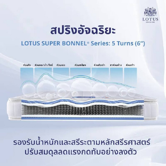 LOTUS ที่นอน รุ่น NORTHLIGHT II LOTUS ที่นอน รุ่น NORTHLIGHT II