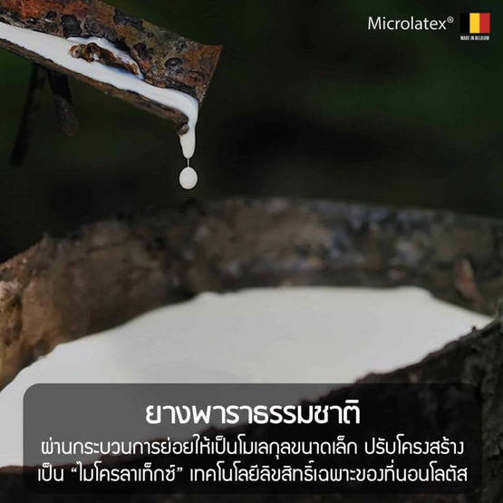 LOTUS ที่นอน รุ่น NORTHLIGHT III LOTUS ที่นอน รุ่น NORTHLIGHT III
