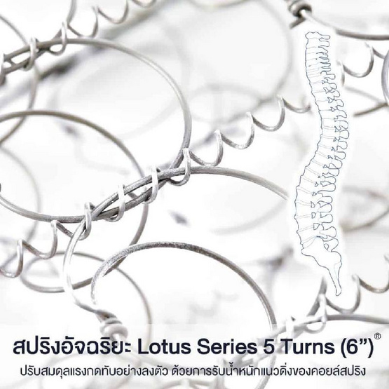 LOTUS ที่นอน รุ่น NORTHLIGHT III LOTUS ที่นอน รุ่น NORTHLIGHT III